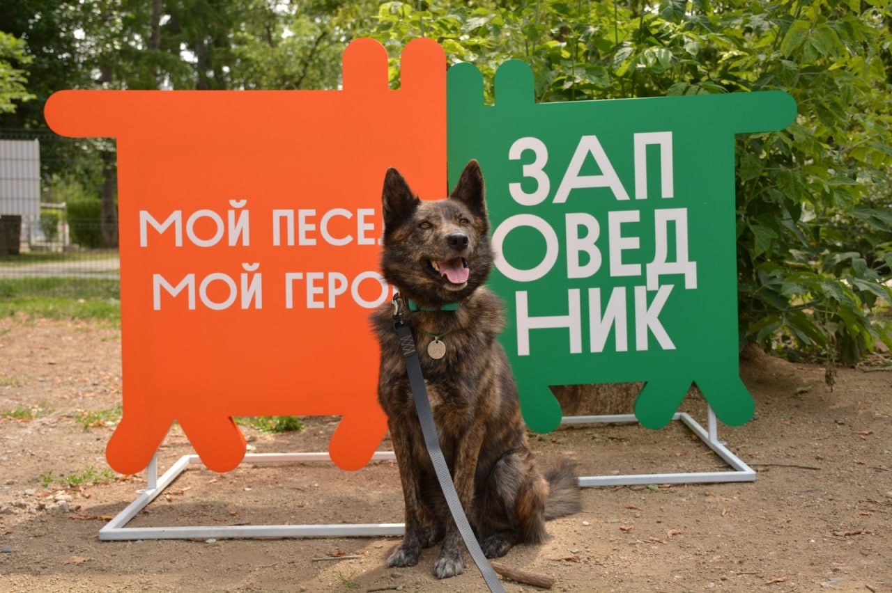 ЕГТИ благодарит сеть зоомагазинов «Заповедник» за поддержку V Международного фестиваля камерных и моноспектаклей
